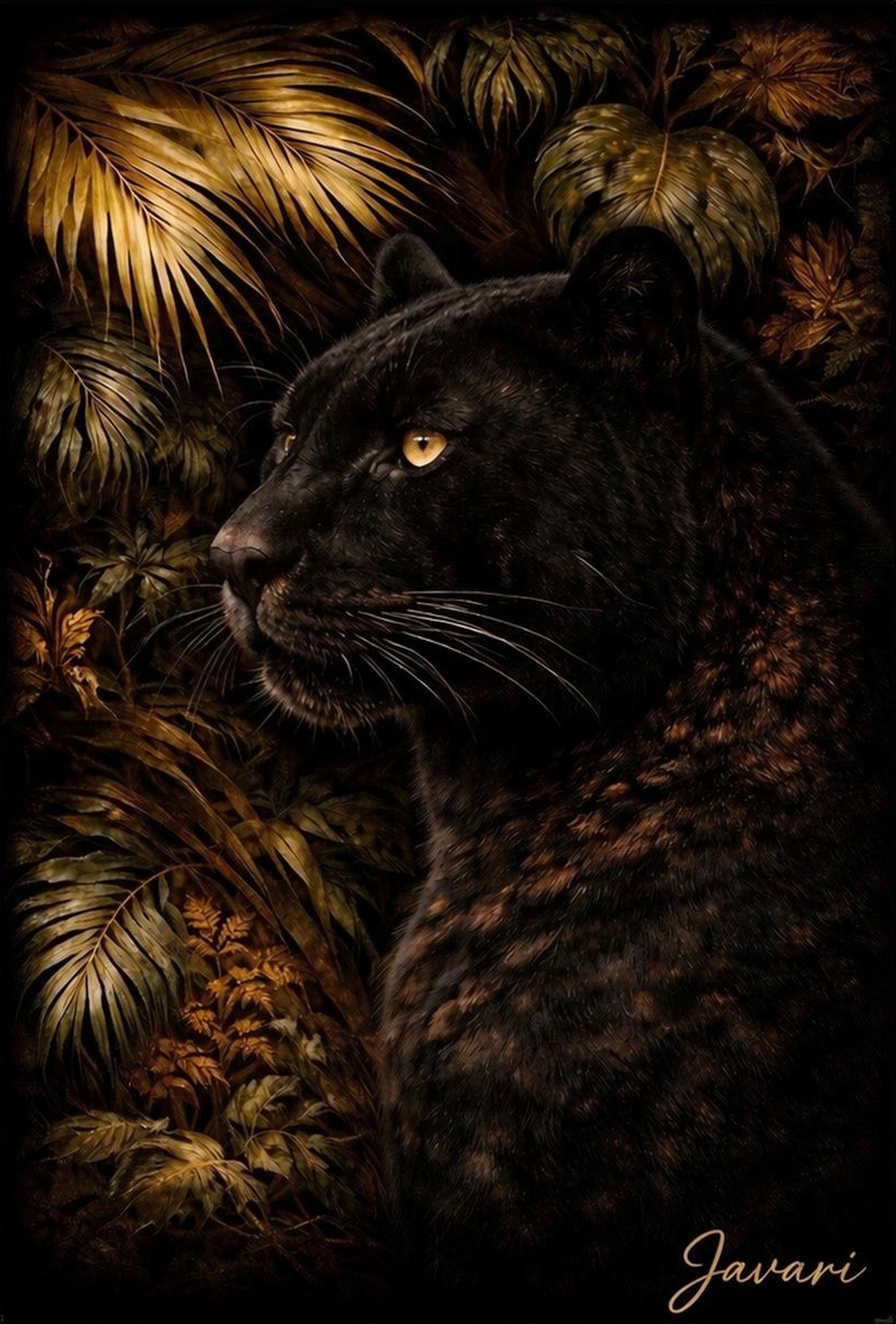 Kairo - Shadow King 🐈‍⬛